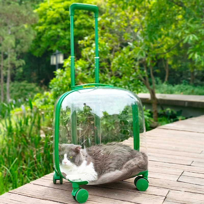 Portable pet trolley case